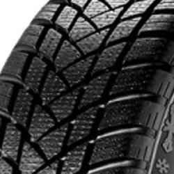 GT Radial Champiro Winterpro 2 ( 175/65 R14 82T )