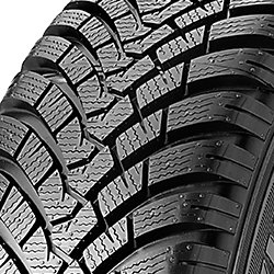 Falken EUROWINTER HS01 RUNFLAT ( 225/55 R17 97H