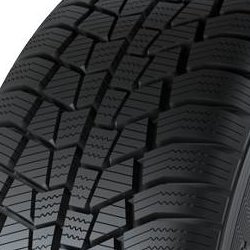 Gislaved Euro*Frost 6 ( 225/40 R18 92V XL )