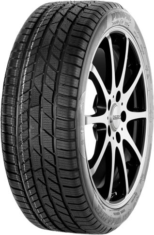 Profil Pro All Weather ( 215/55 R16 93H